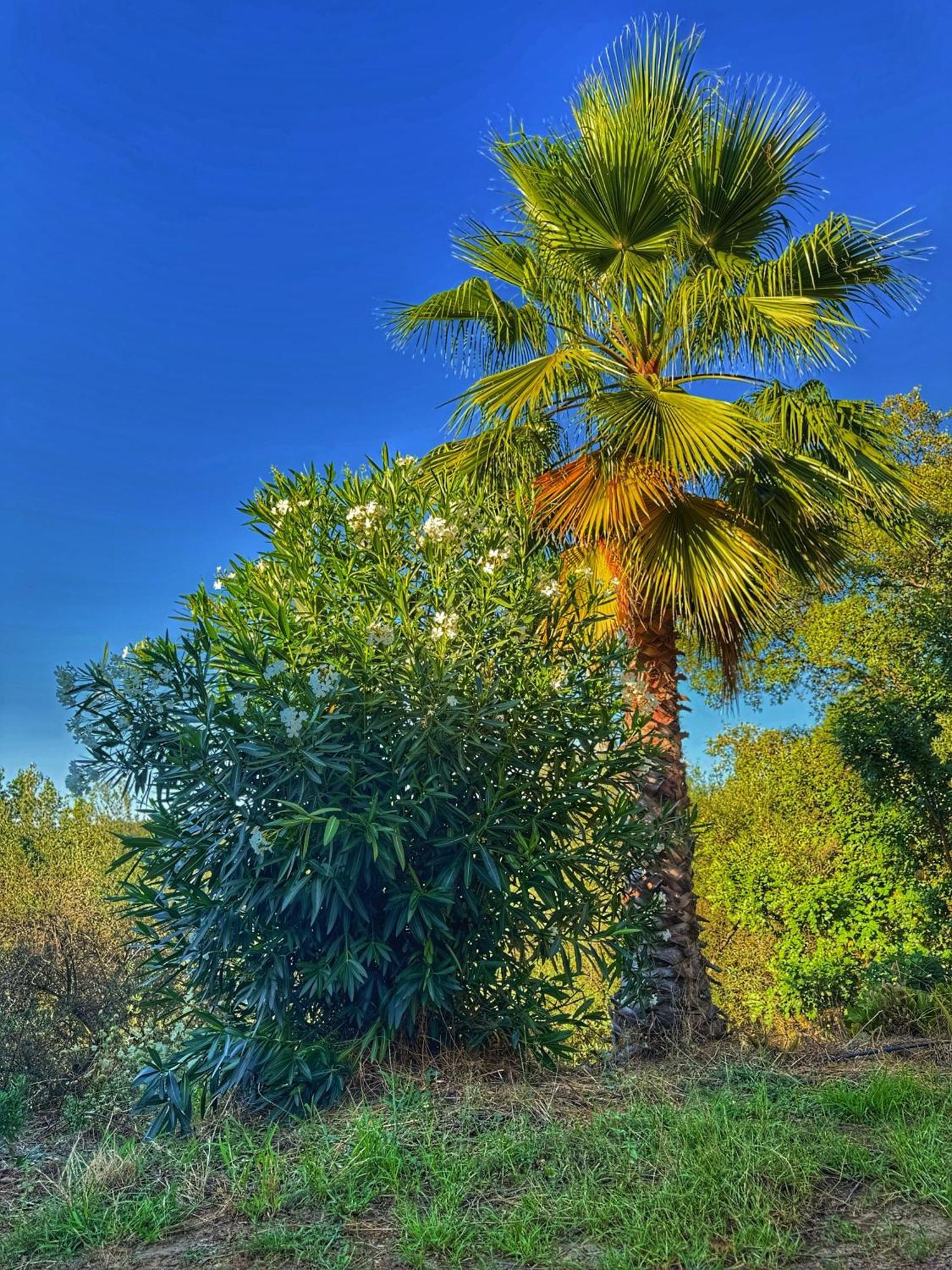 Finca Charco La Olla ฆาบูโก ภายนอก รูปภาพ